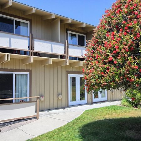Silver Surf Motel San Simeon Exterior foto